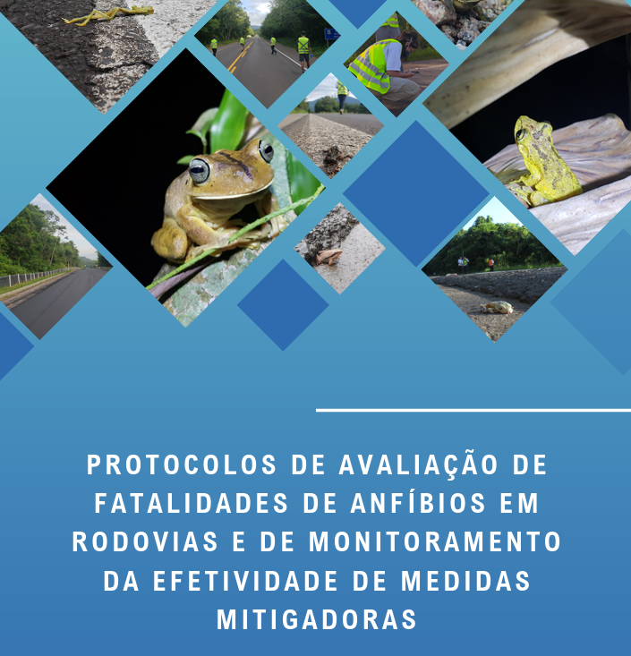 protocolo-avalicao